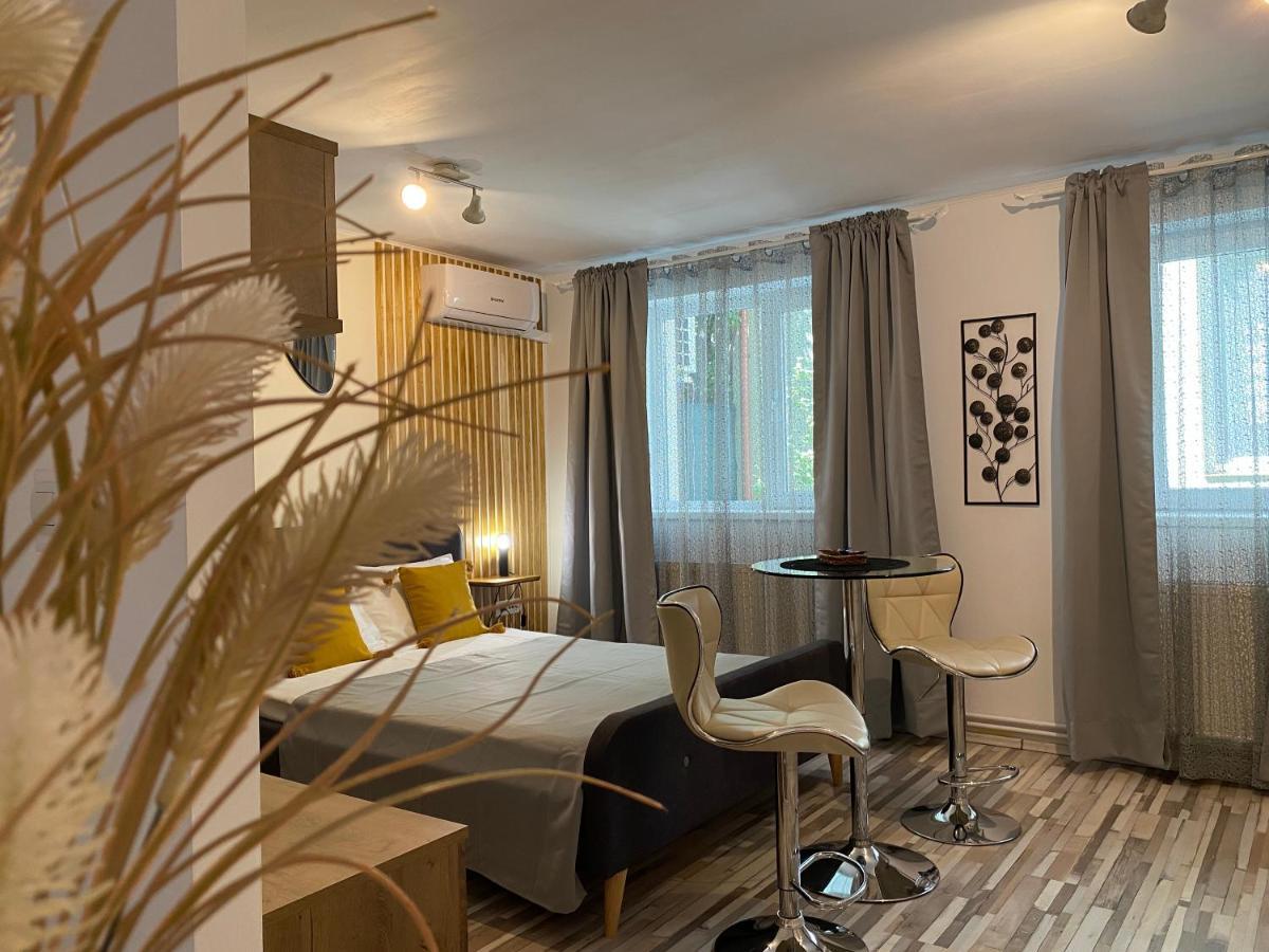 Urseni Studio Apartment Timisoara Exterior foto